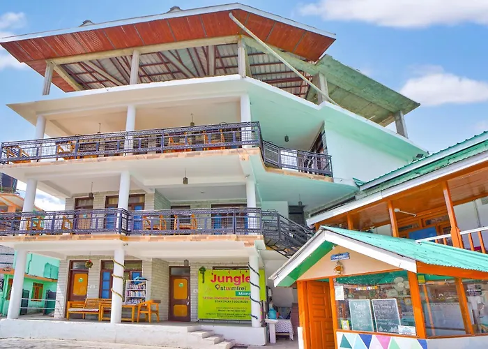 Jungle By Sturmfrei Manali Hostel
